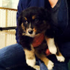 Meet your Posher, Nathan